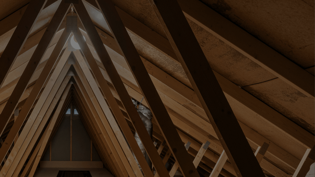 Zest Property Services - Termite Control - Hills District in Sydney