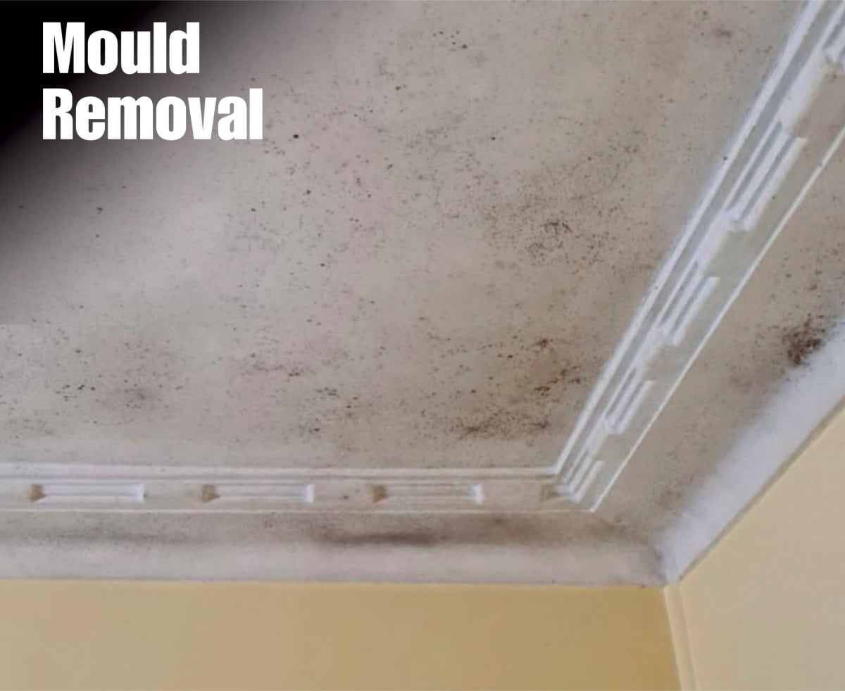 Zest Property Services Maintenance - Pennant Hills