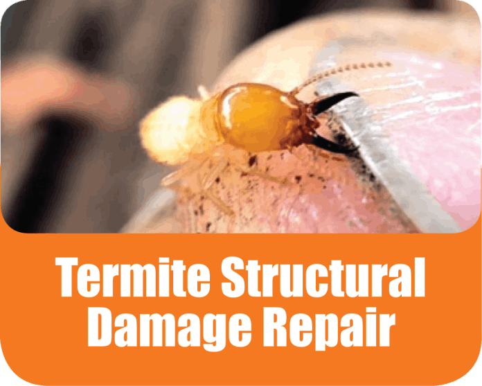 Termite Damage Repair Termite damage repairs Penrith, termite repairs Blue Mountains, termite restoration The Hills, termite damage Sydney, termite structural repairs Lane Cove, Turramurra termite repairs, termite timber replacement