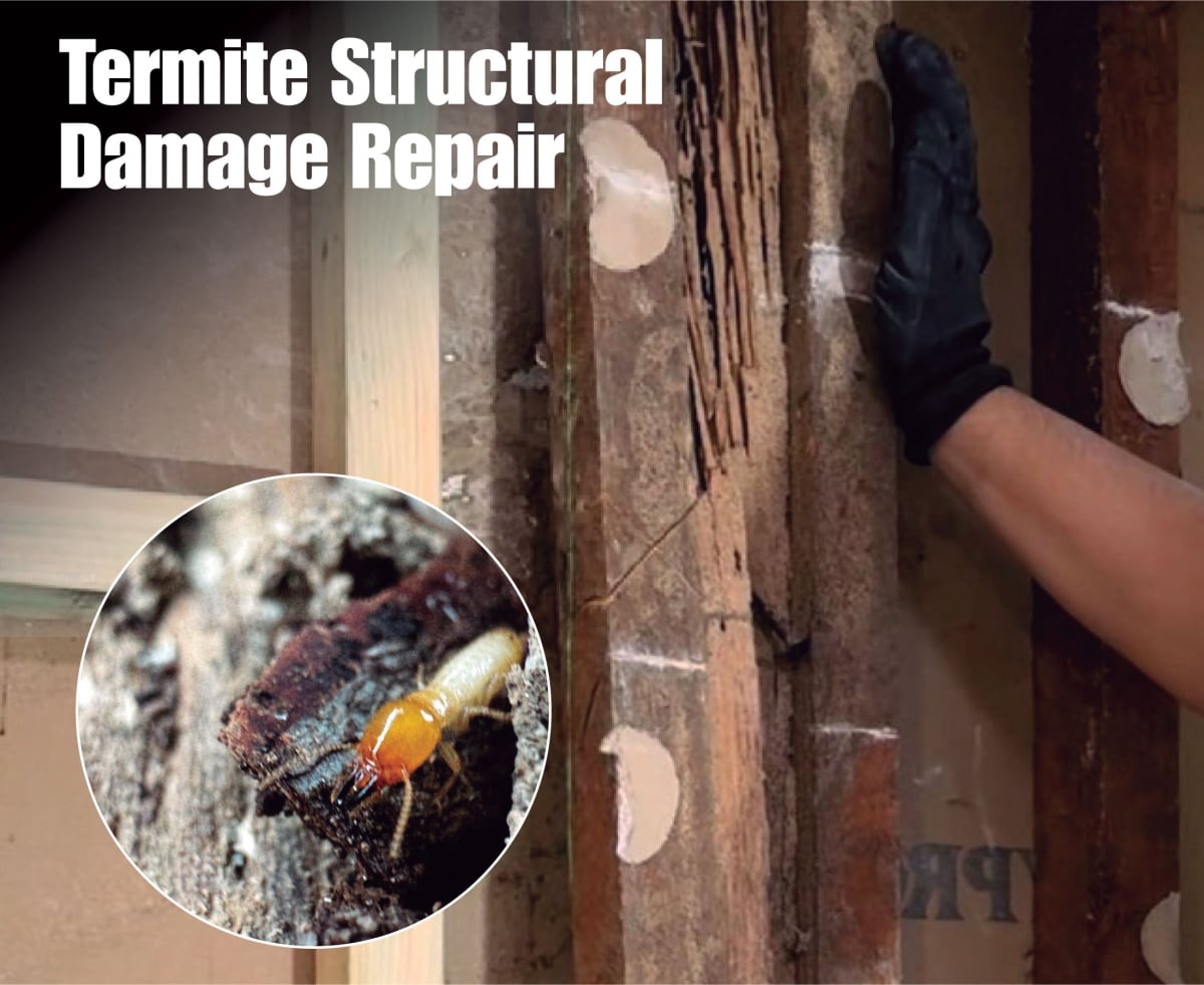Zest Property Services Maintenance - Pennant Hills