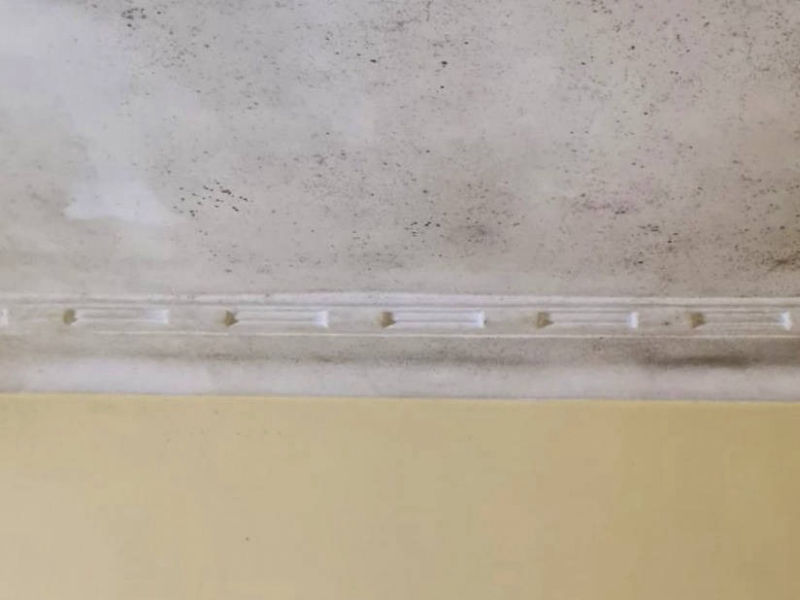 Zest_Property_Services_Maintenance - Termite Control - Hills District of Sydney