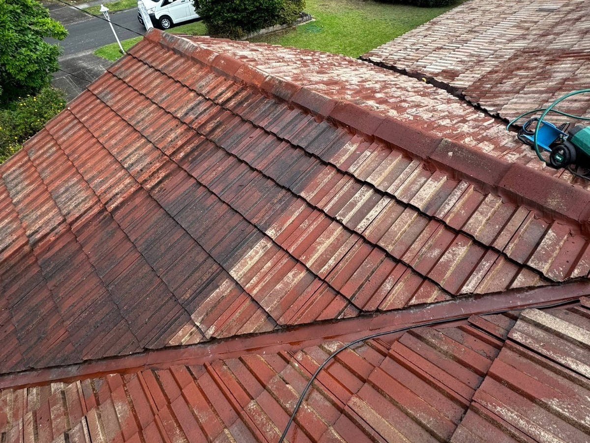 Zest_Property_Services_Maintenance - Termite Control - Hills District of Sydney