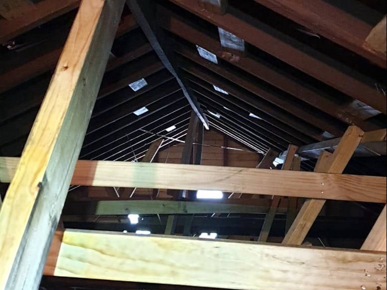 Zest_Property_Services_Maintenance - Termite Control - Hills District of Sydney