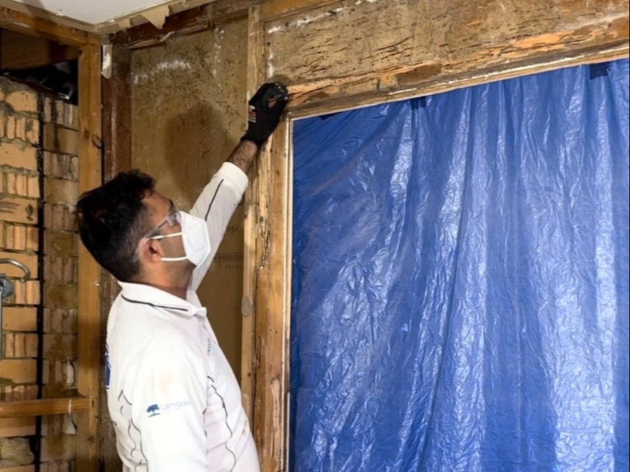 Zest_Property_Services_Maintenance - Termite Control - Hills District of Sydney